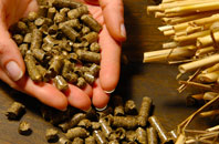 free Reed End biomass boiler quotes